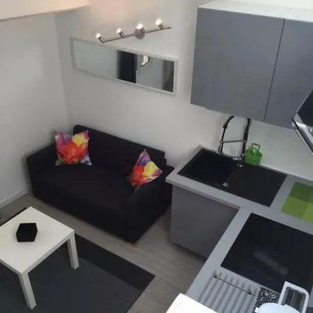 Nice Studio With Mezzanine For 4 People In Center Apartament