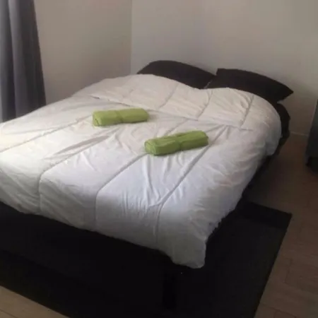 Nice Studio With Mezzanine For 4 People In Center Cannes